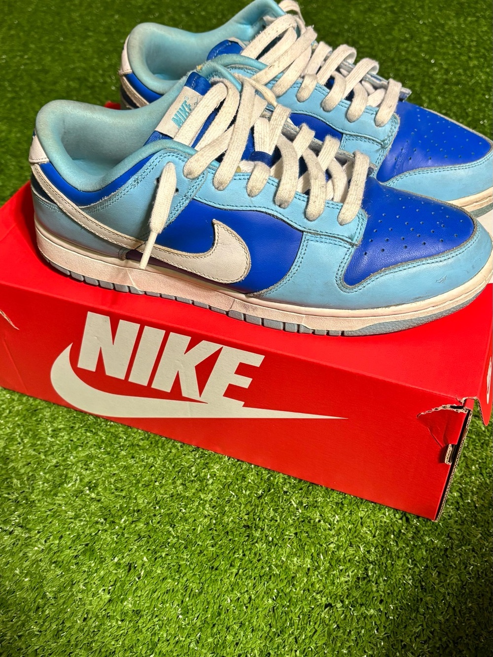 Nike Men’s Argon Dunks Size 10